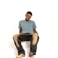 Blue Insignia shirt